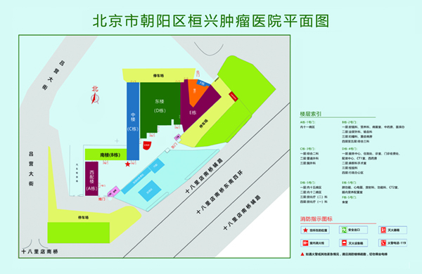 肏屄草逼操逼北京市朝阳区桓兴肿瘤医院平面图